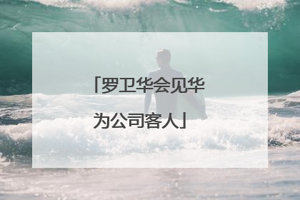 罗卫华会见华为公司客人